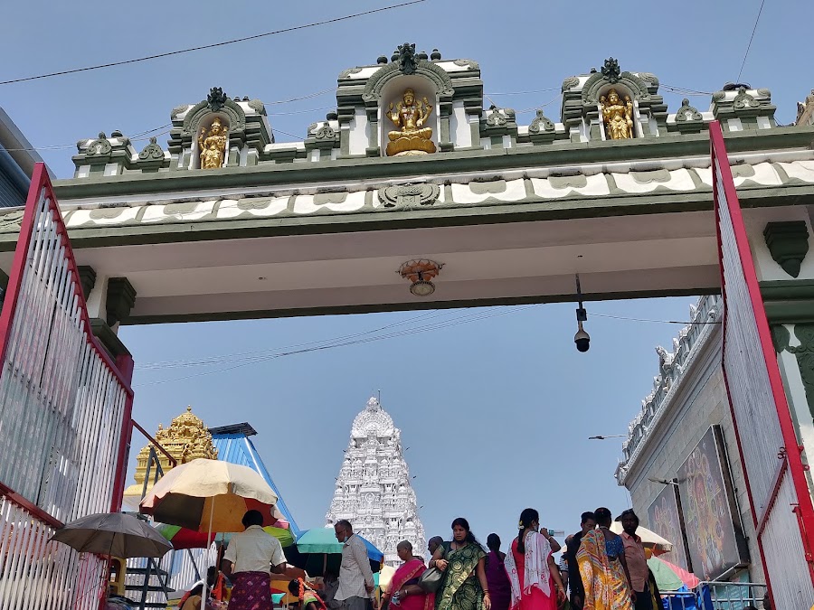 Padmavathi Ammavari Temple - Photo 4