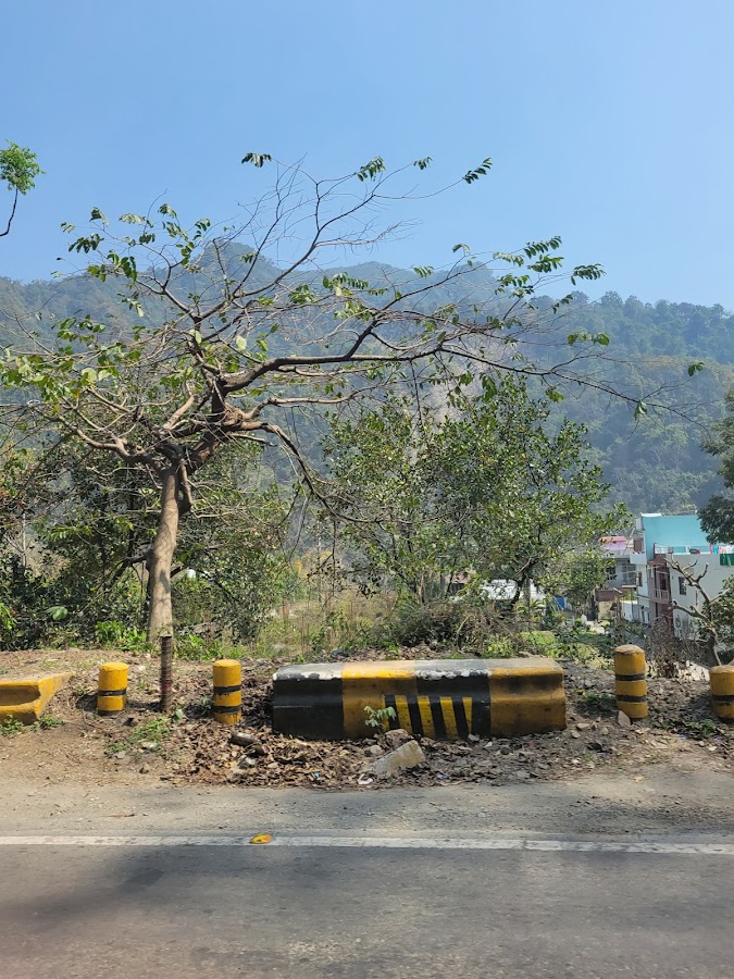 Majkhali - Photo 4