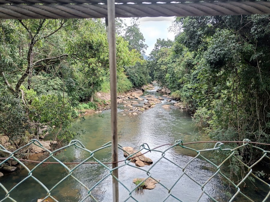 Karappara Waterfalls - Photo 3