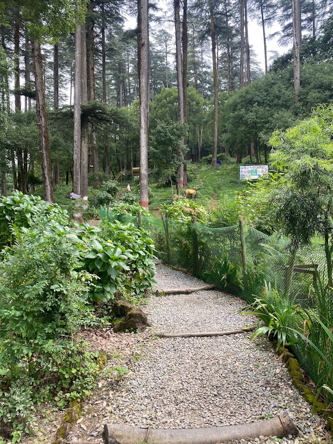 Amber Eco Huts - Photo 9