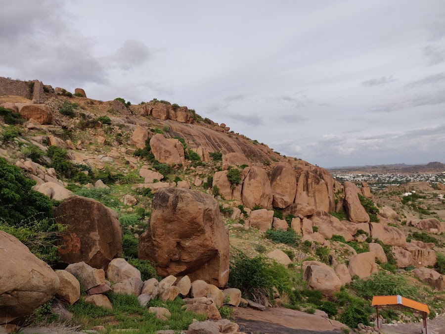 Adoni Fort - Photo 2