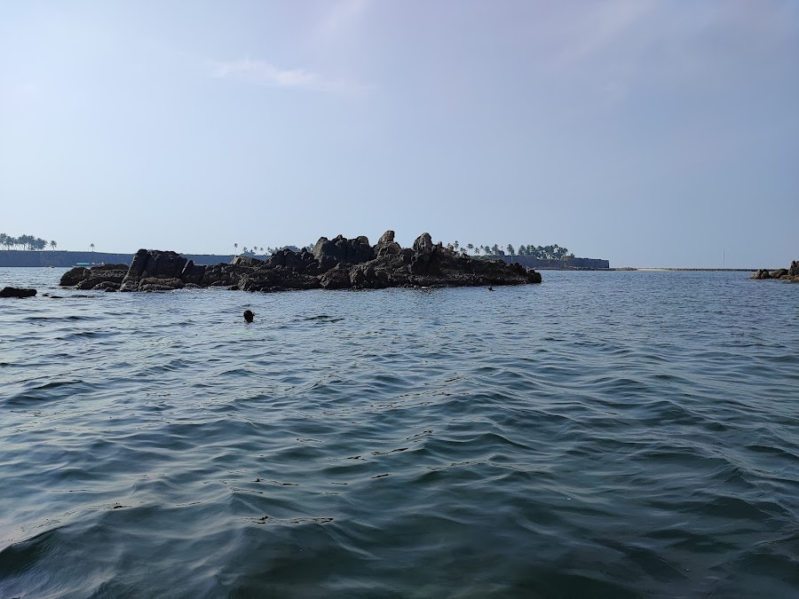 Malvan Marine Sanctuary - Photo 3