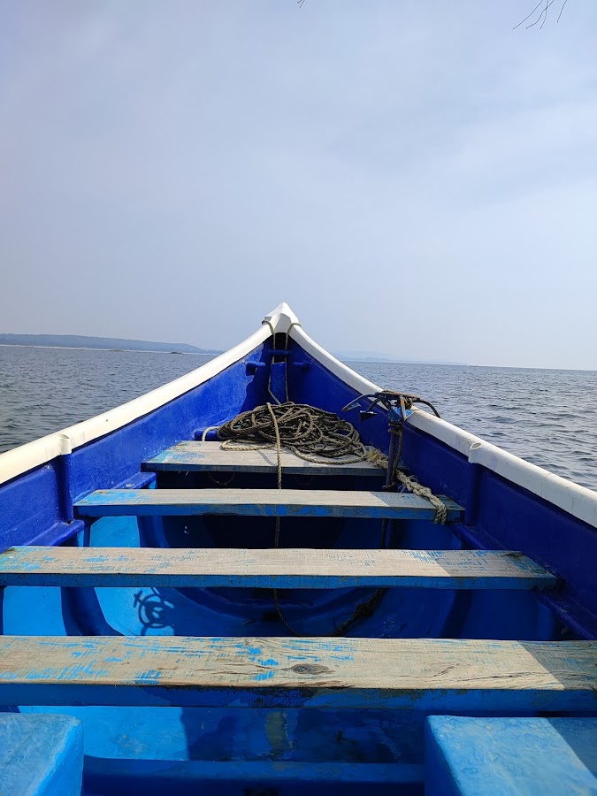 Malvan Marine Sanctuary - Photo 4