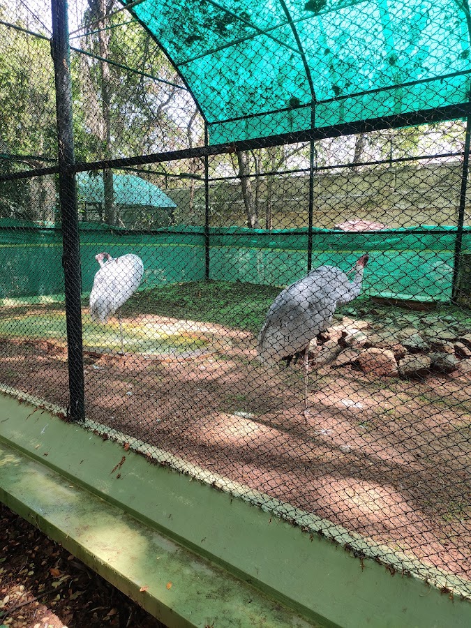 Mysore Zoo - Photo 4