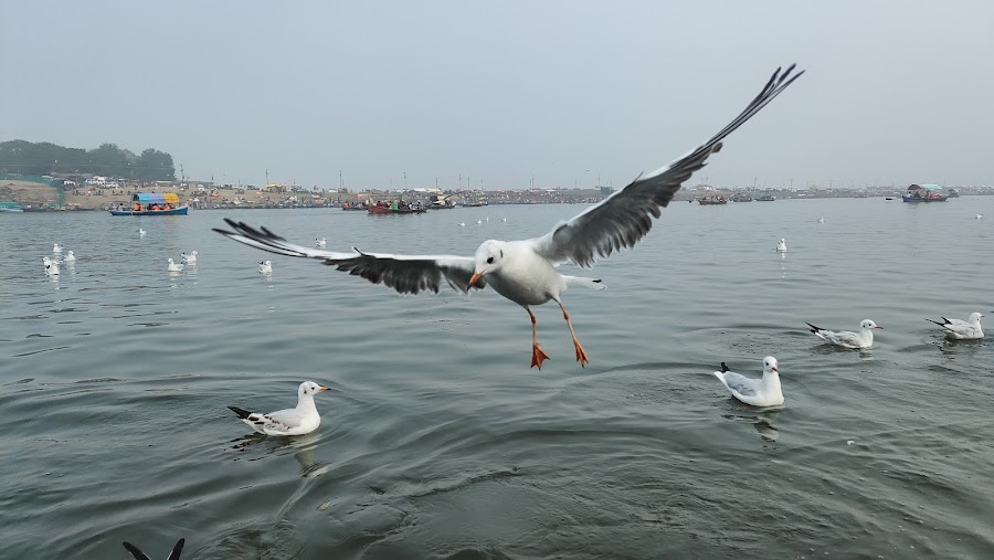 Triveni Sangam - Photo 2
