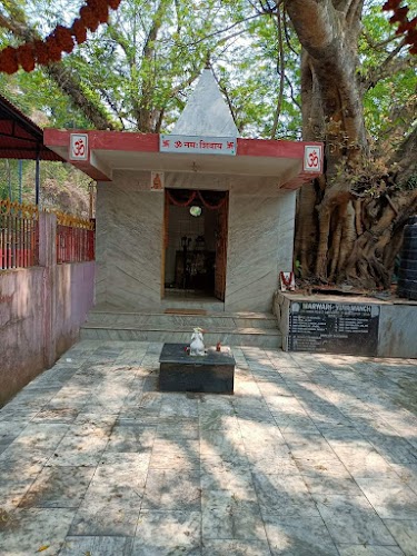 Tezpur - Photo 2