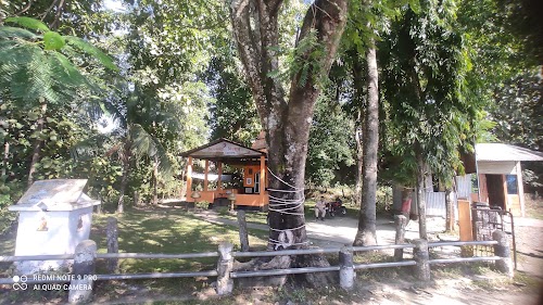 Tezpur - Photo 5