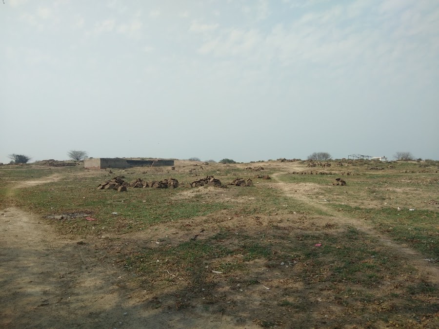 Rakhigarhi Archaeological Site - Photo 4