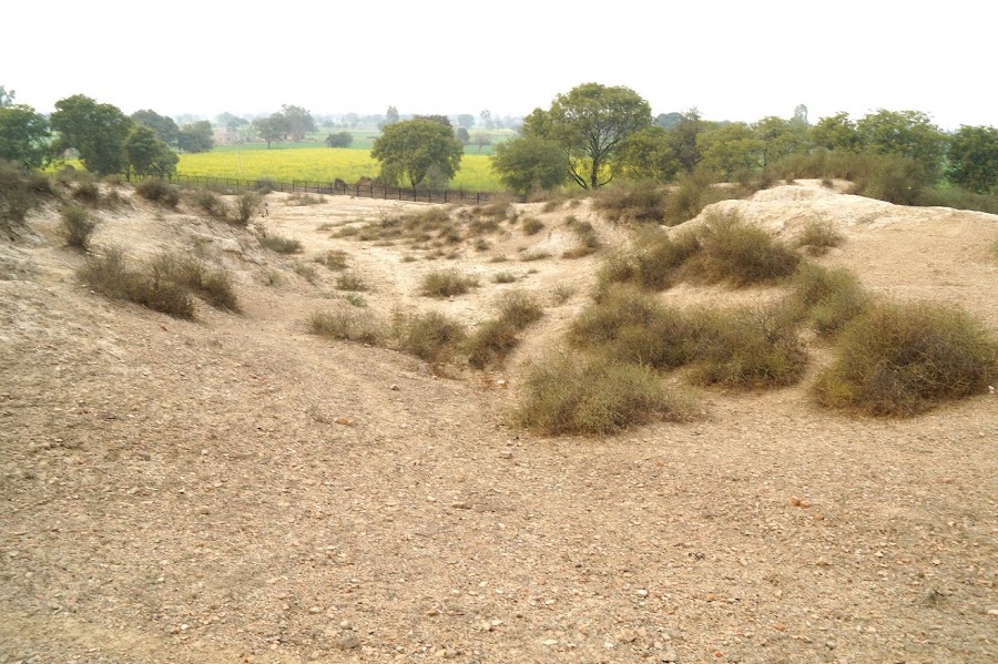 Rakhigarhi Archaeological Site - Photo 3