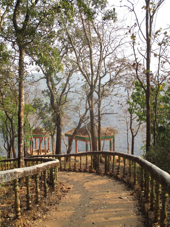 Jenukal Gudda - Photo 4