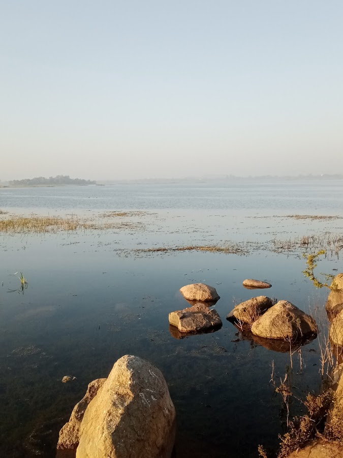 Vijay Sagar Lake - Photo 2