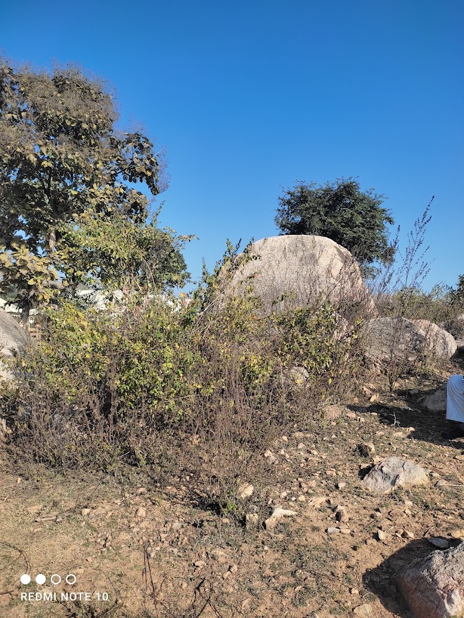 Vijay Sagar Lake - Photo 3