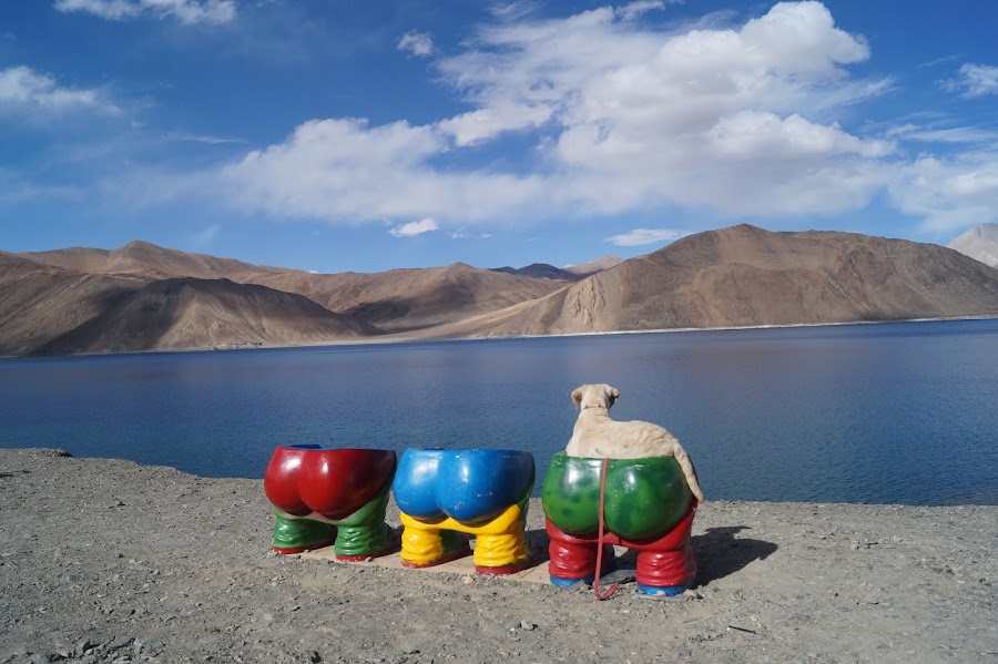 Pangong Tso Lake - Photo 4