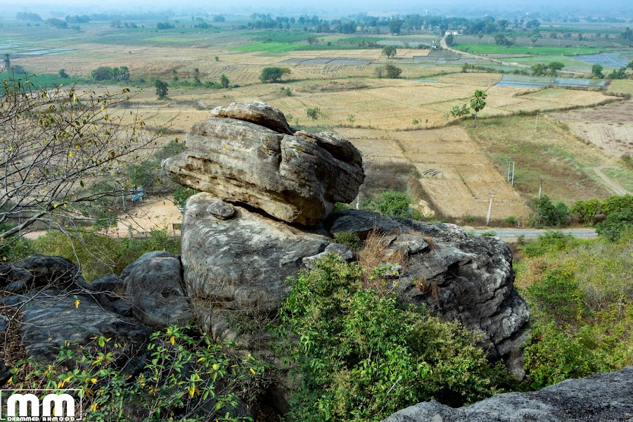 Pandavula Gutta Caves - Photo 4