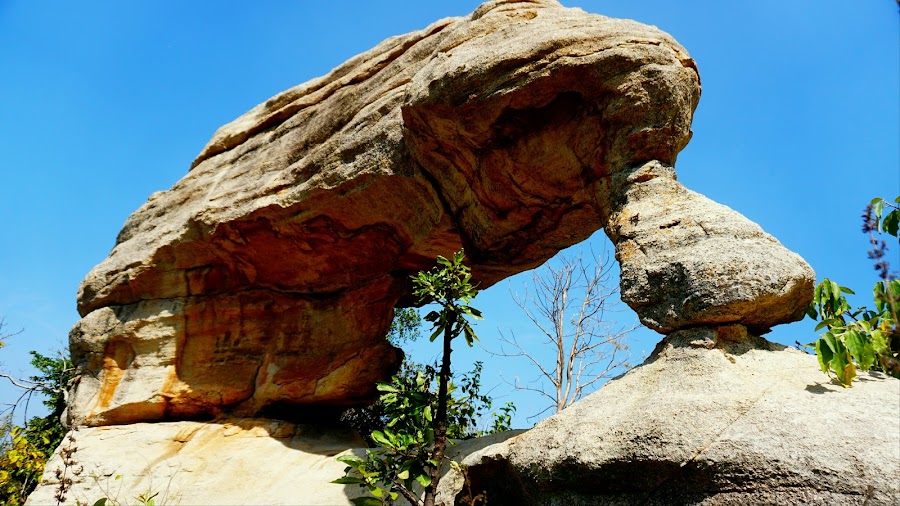 Pandavula Gutta Caves - Photo 8
