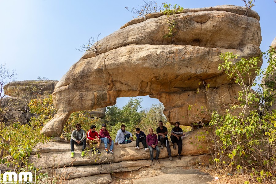 Pandavula Gutta Caves - Photo 3