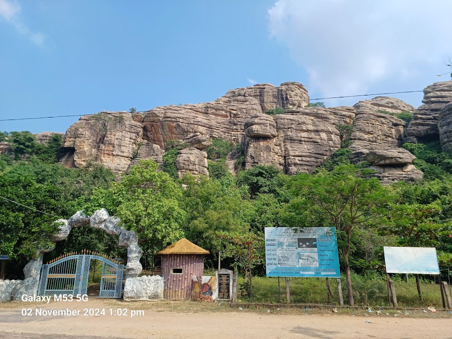 Pandavula Gutta Caves - Photo 6