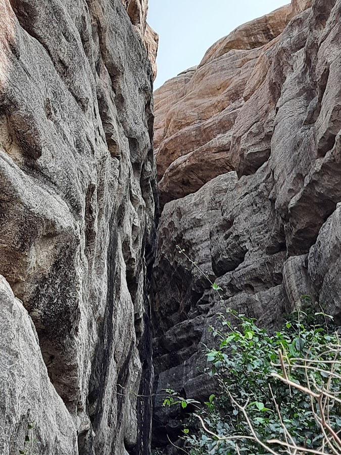 Pandavula Gutta Caves - Photo 5