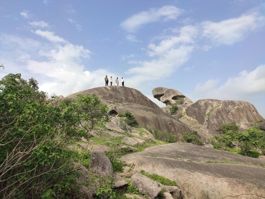 Toad Rock - Photo 4