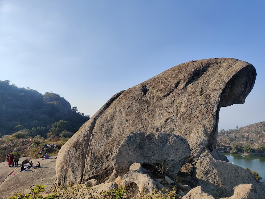 Toad Rock - Photo 2