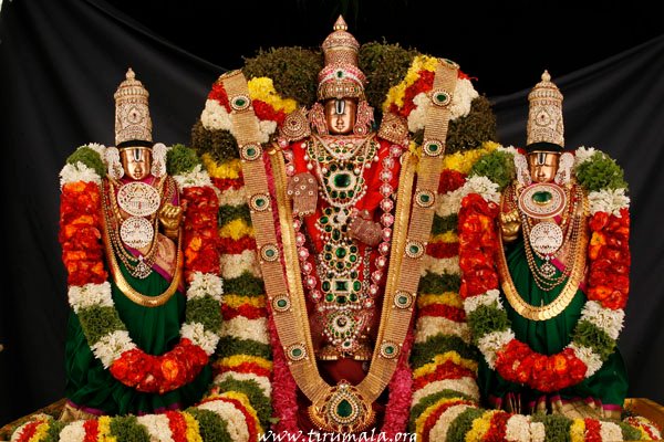 Tirupati Balaji (Tirumala Venkateswara Temple) - Photo 2