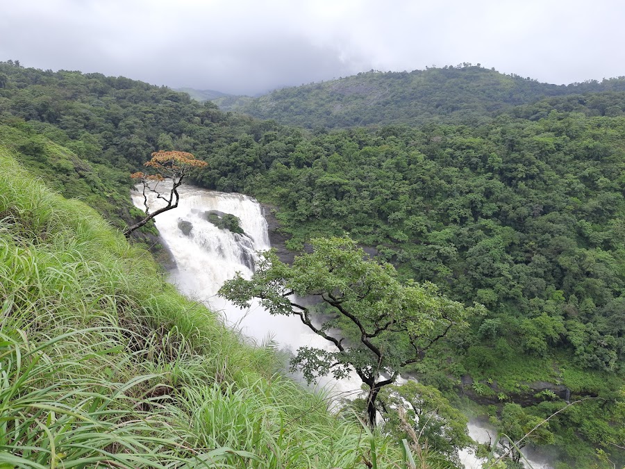 Mallalli Waterfalls - Photo 2