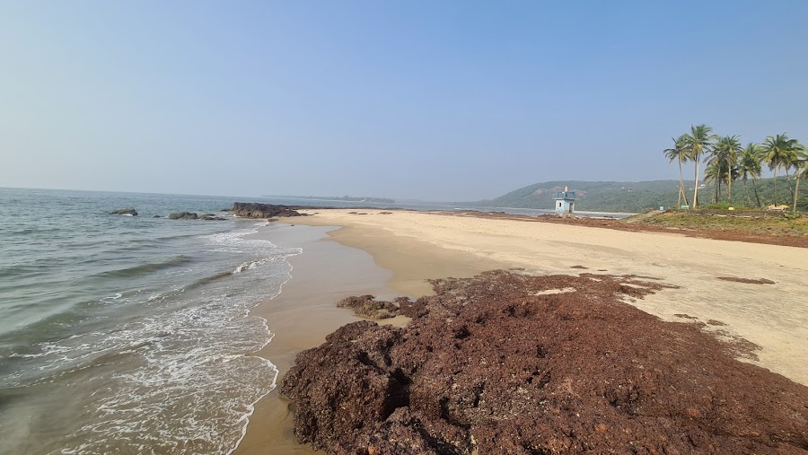 Bhogave Beach - Photo 4