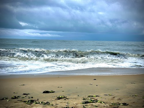 Marari Beach - Photo 4