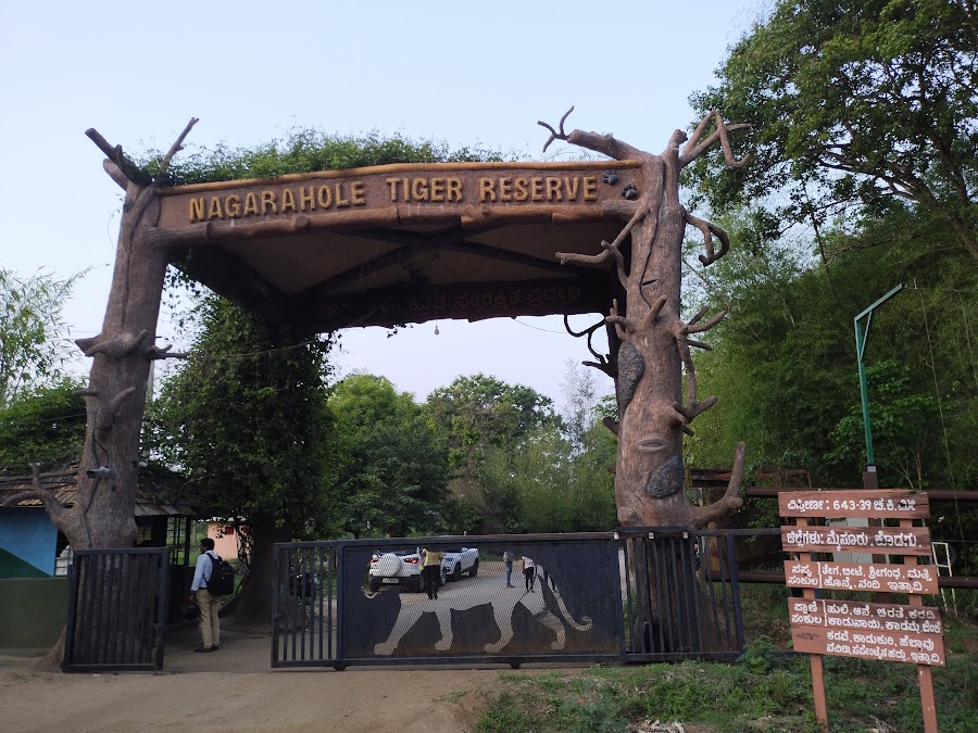 Nagarhole Tiger Reserve - Photo 2
