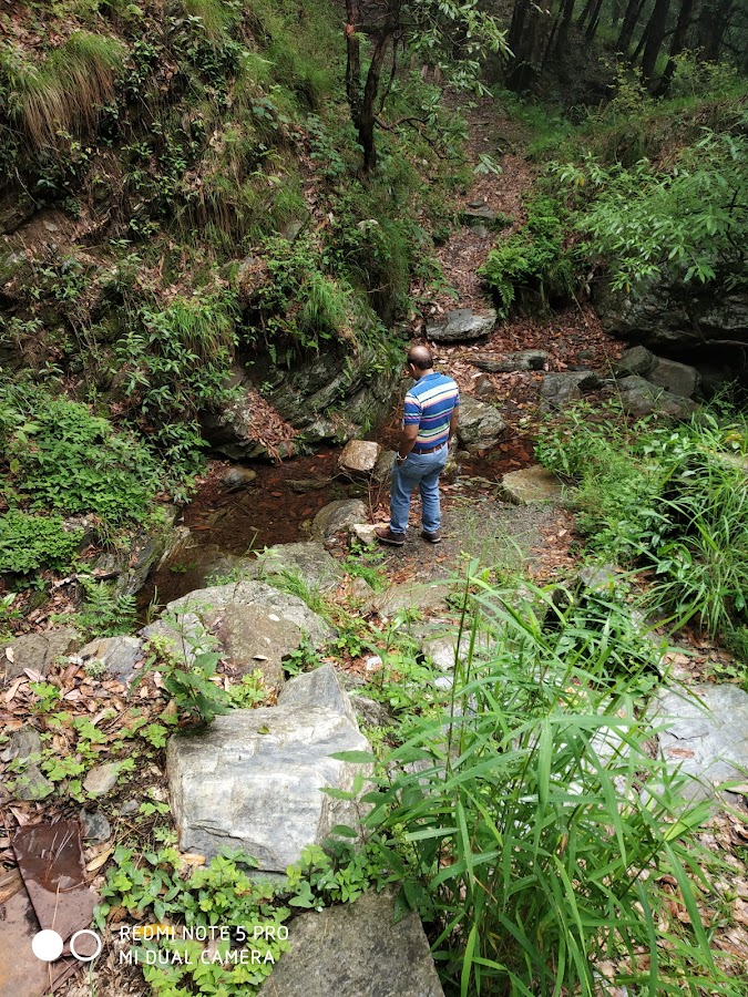 Naini Lake - Photo 7