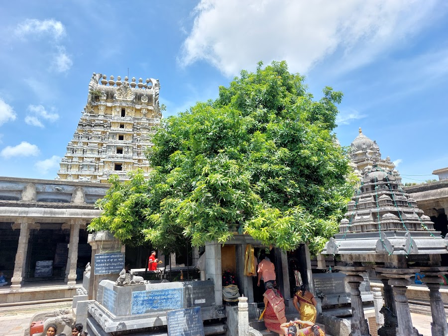 Ekambareswarar Temple - Photo 2
