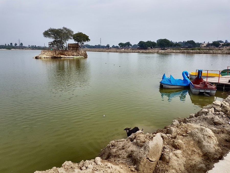 Blue Bird Lake - Photo 2