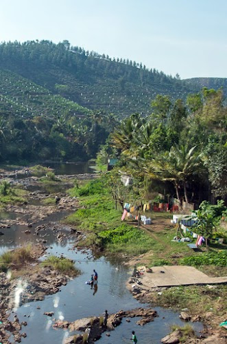 Periyar - Photo 5