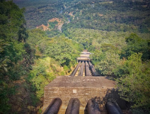 Periyar - Photo 4