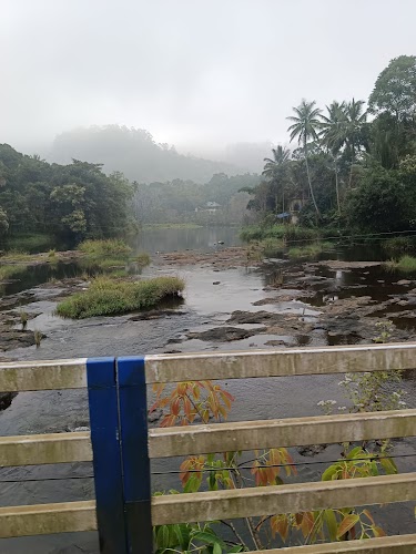 Periyar - Photo 3