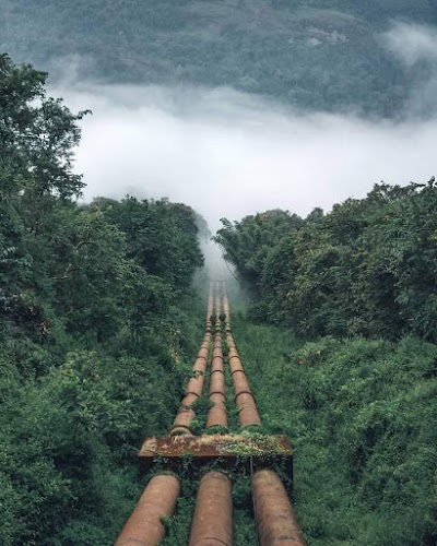 Periyar - Photo 2