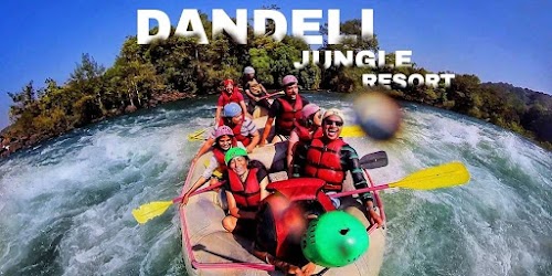 Dandeli - Photo 3