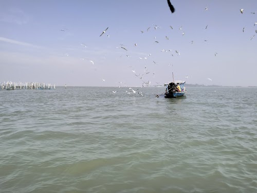 Chilika Lake - Photo 3