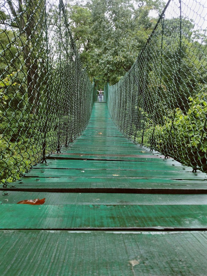 Valmiki Tiger Reserve - Photo 4