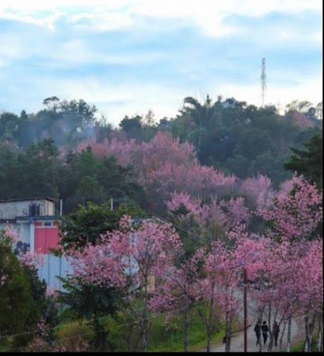 Ukhrul - Photo 2