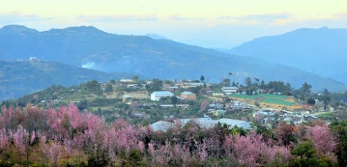 Ukhrul - Photo 3
