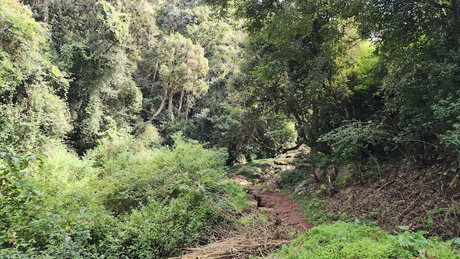 Hidden Valley - Photo 4