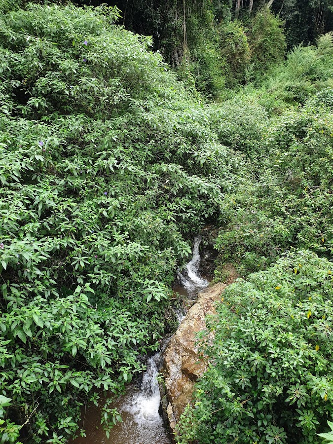 Hidden Valley - Photo 3