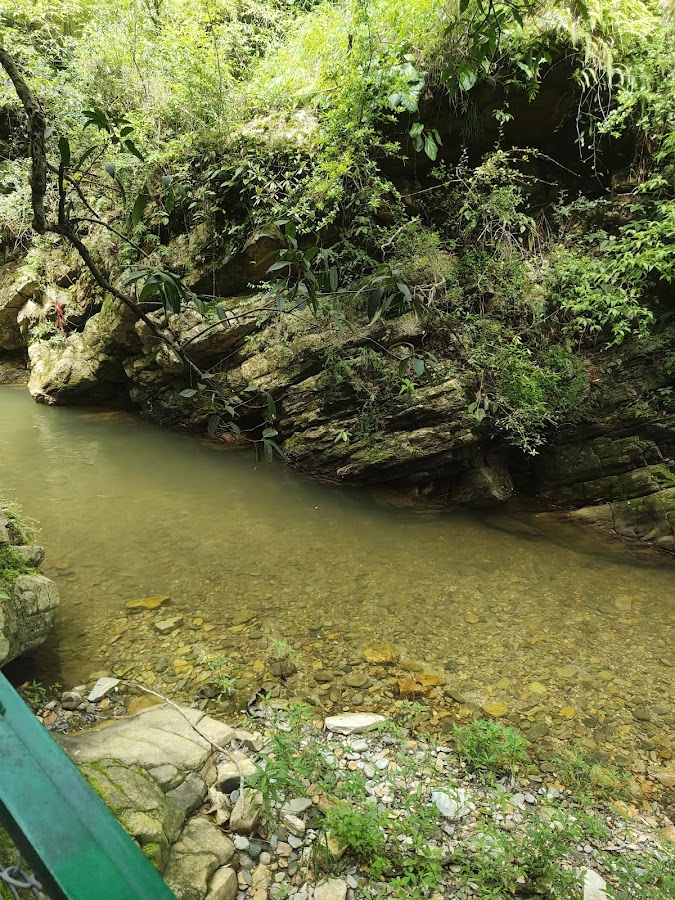 Bhalugaad Waterfall - Photo 7