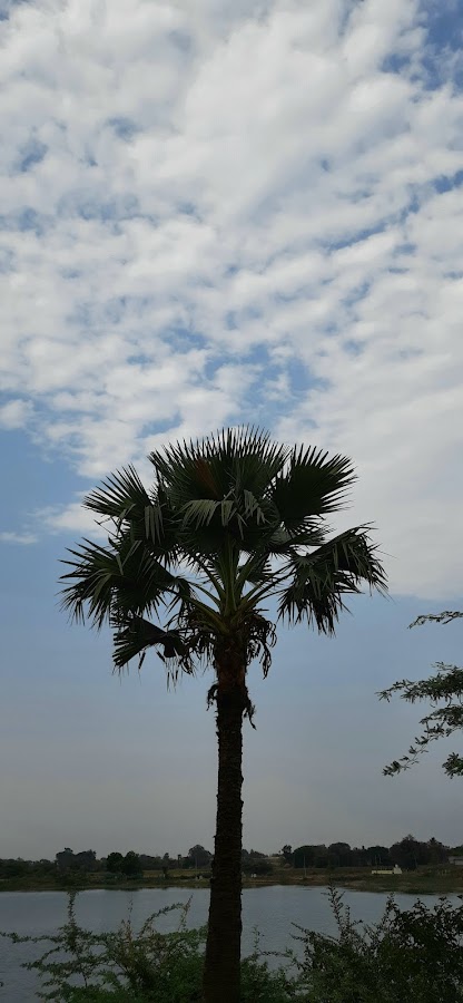 Nagunur Fort - Photo 3