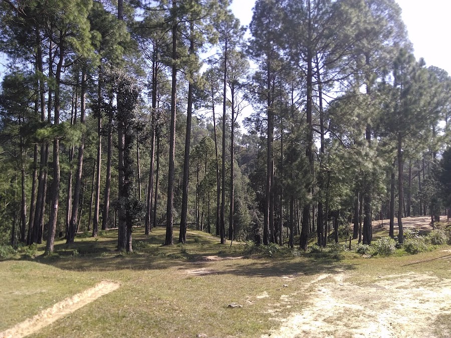 Golf Ground Ranikhet - Photo 4