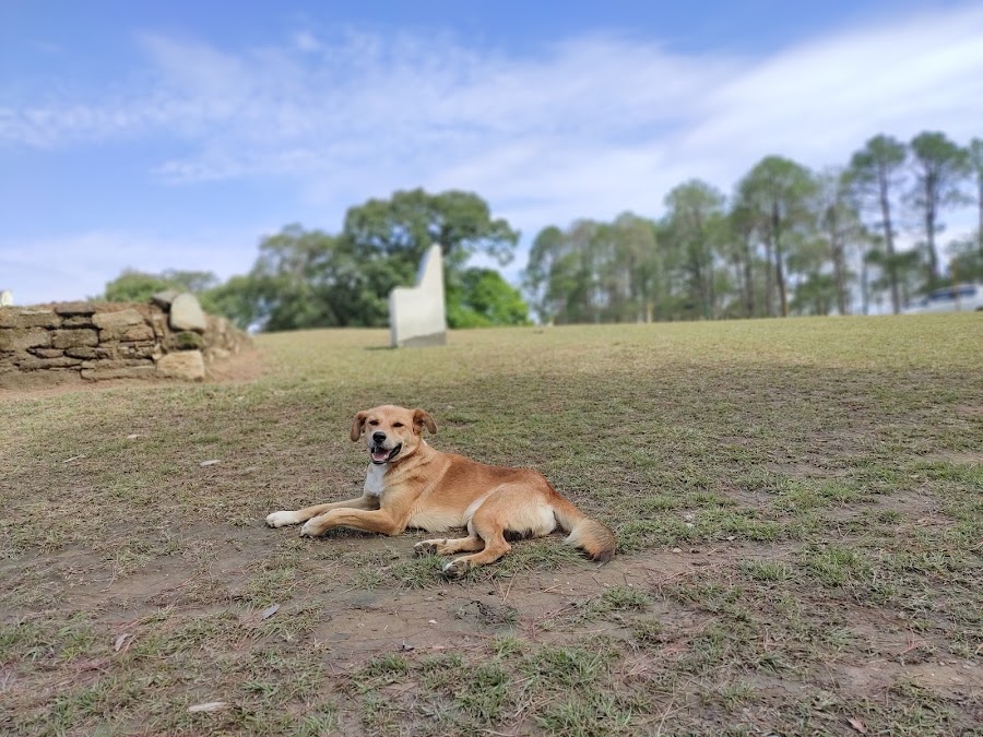 Golf Ground Ranikhet - Photo 2