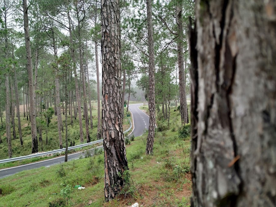 Golf Ground Ranikhet - Photo 5