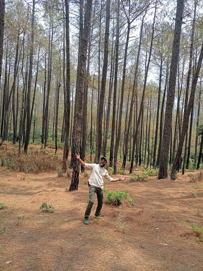 Golf Ground Ranikhet - Photo 6
