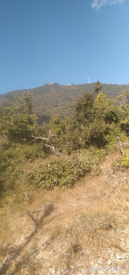 Thal Kedar - Photo 5